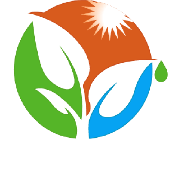 Logo demen.com.vn